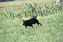picture-dsc_7531