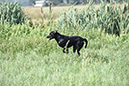 picture-dsc_7529