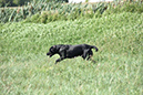 picture-dsc_7530