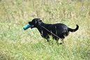 picture-dsc_7237