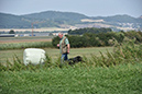 picture-dsc_7523
