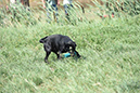 picture-dsc_7533