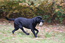 DSC09320