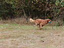 DSCF1822