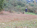 DSCF1786