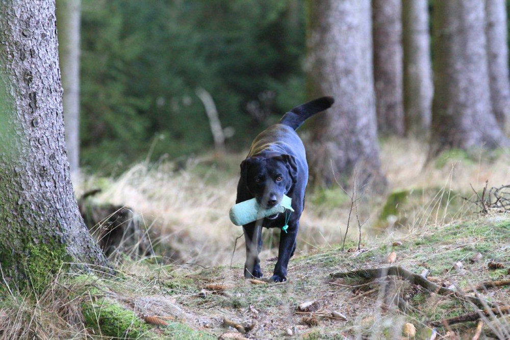 IMG_6746