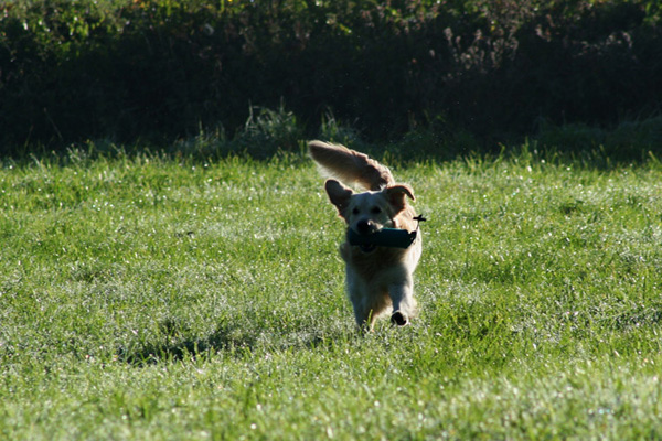 Lake-and-Land-2012-277