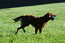 Lake-and-Land-2012-278