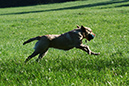 Lake-and-Land-2012-299