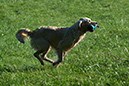Lake-and-Land-2012-294