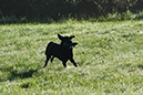 Lake-and-Land-2012-273