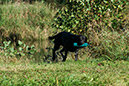 Lake-and-Land-2012-300