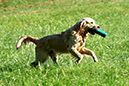 Lake-and-Land-2012-280