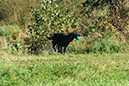 Lake-and-Land-2012-285