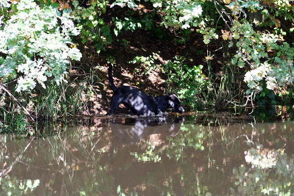 Lake-and-Land-2012-365