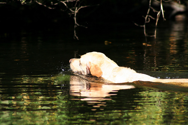Lake-and-Land-2012-370