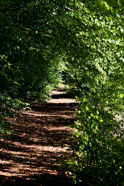 Lake-and-Land-2012-360
