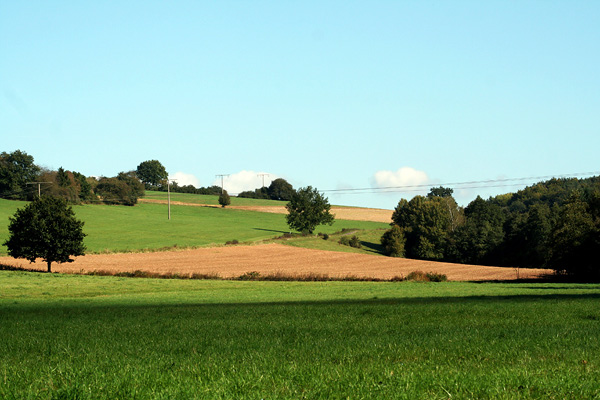 Lake-and-Land-2012-337