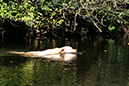 Lake-and-Land-2012-369