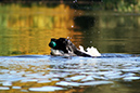 Lake-and-Land-2012-366