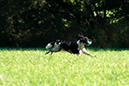 Lake-and-Land-2012-355