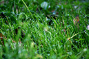 Lake-and-Land-2012-345