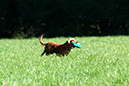 Lake-and-Land-2012-353