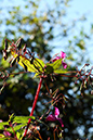 Lake-and-Land-2012-367
