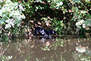 Lake-and-Land-2012-365