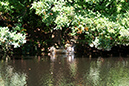 Lake-and-Land-2012-368