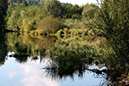 Lake-and-Land-2012-357