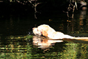 Lake-and-Land-2012-370