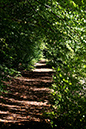 Lake-and-Land-2012-360