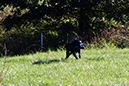 Lake-and-Land-2012-319