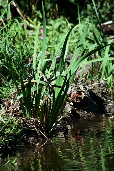 Lake-and-Land-2012-371