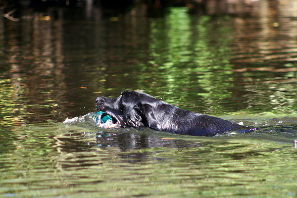 Lake-and-Land-2012-373