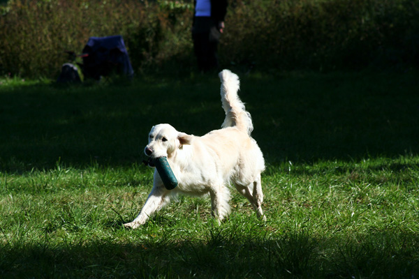 Lake-and-Land-2012-415
