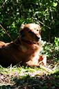 Lake-and-Land-2012-390