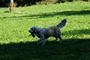 Lake-and-Land-2012-417