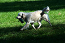 Lake-and-Land-2012-416