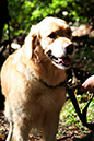Lake-and-Land-2012-398