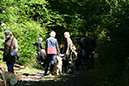 Lake-and-Land-2012-392