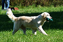 Lake-and-Land-2012-420