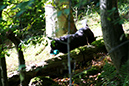 Lake-and-Land-2012-403
