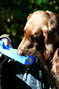 Lake-and-Land-2012-397