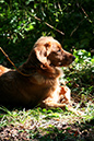 Lake-and-Land-2012-389