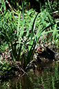 Lake-and-Land-2012-371