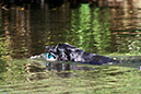 Lake-and-Land-2012-373