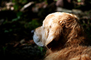 Lake-and-Land-2012-395