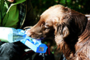 Lake-and-Land-2012-396